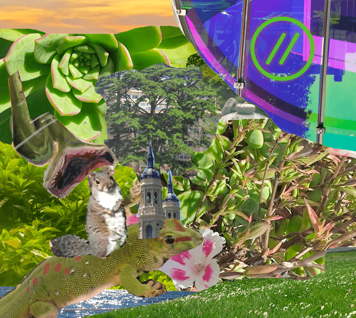 potluck picnic